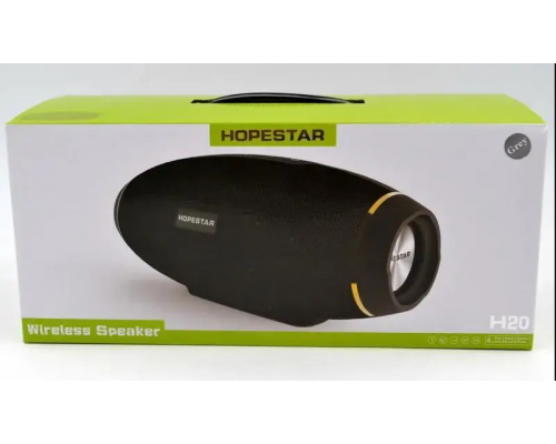 Колонка hopestar HS-81 6*40